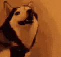 bruh Discord emoji
