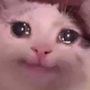 b_Sad_Cat Discord emoji