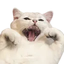 bettyscream