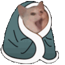 tlSleepyCat