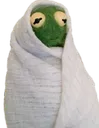 KermitBlanketSit KermitBlanketSit