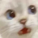 whow