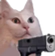 CatGun