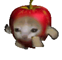 tlSadAppleCat