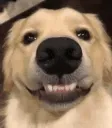 ssDogSmile