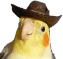 parrat