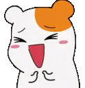 KBBQ_Hamtarohappy