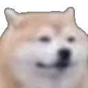 POSTTHISDOGGO