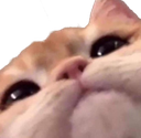 wot Discord emoji