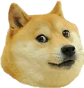 doge