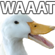 waat Discord emoji