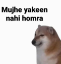 yakeen_nhi_homra Discord emoji