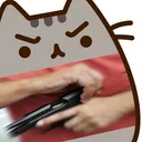 cat_gun