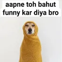 funnies_krdis_bro