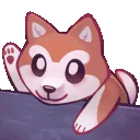 SaiaBongo