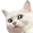 hein Discord emoji
