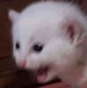 nuuu Discord emoji