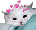 heart_cat Discord emoji