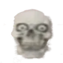 skull2 skull2