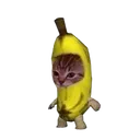 catanana Discord Emoji