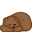 Zzzbear