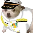 ConcernAdmiral