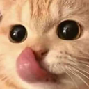 LD_CatYum Discord emoji