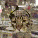 z_catvibin