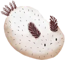 seabunni seabunni