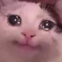 sad_cat2