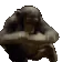 monkework monkework