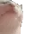 catjam