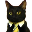 suitCat Discord Emoji