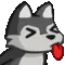 Wolf_Tongue_out