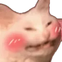 UDUcatblush Discord Emoji