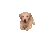 UDUdogimback