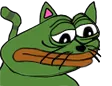 sadcatge