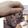 petpet_milo