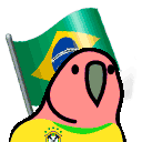 brazilianfanParrot