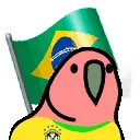 brazilianfanParrot