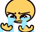E2_Cry