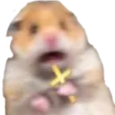 O_Fck