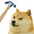 4432hammerdoge