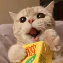 Q_CatJuice Discord Emoji