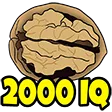 iq_2000 iq_2000
