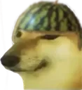SimplistDoggo_OwO SimplistDoggo_OwO