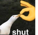 shutOwO Discord emoji