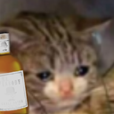 SadNasheCatOwO Discord emoji