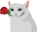 happy_cat