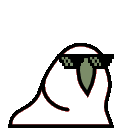 3231_transparrontparrot